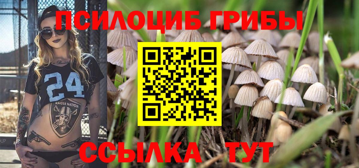 Галлюциногенные грибы GOLDEN TEACHER  Вход с VPN  Коряжма 