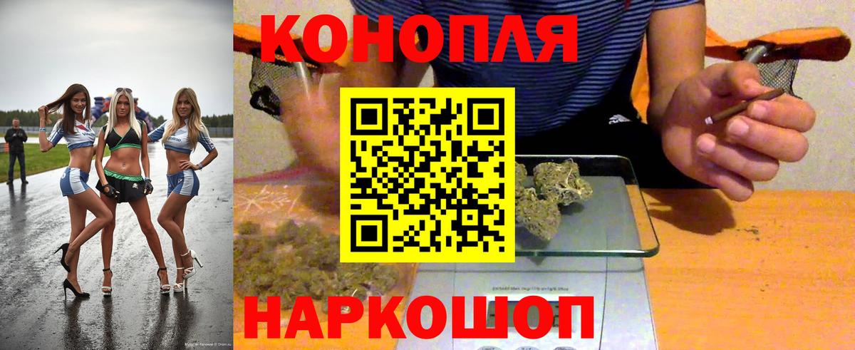 Марихуана планчик  Вход с VPN  Каннабис ГИДРОПОН  Коряжма  Канабис сатива 
