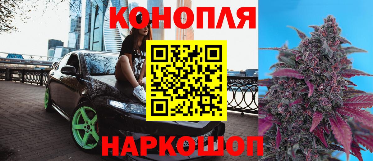 Бошки Шишки гибрид Коряжма
